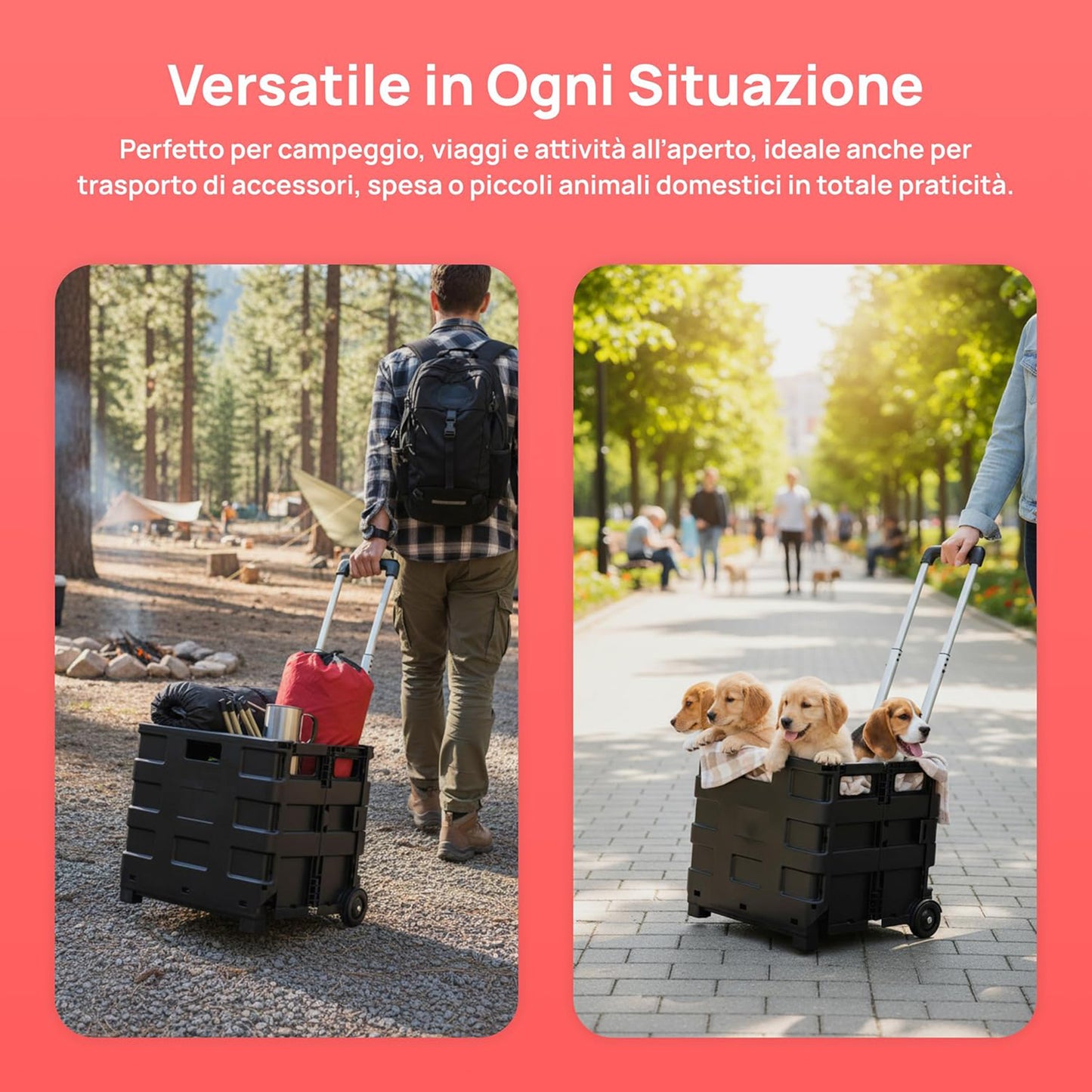 Carrello Trolley Pieghevole Spesa Manico Telescopico 38x83x30 cm – KOMBO KOX10